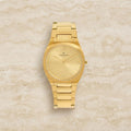 Pierre Cardin Gold Tone Watch, Mens Stainless Steel Wristwatch, Minimalist Gift